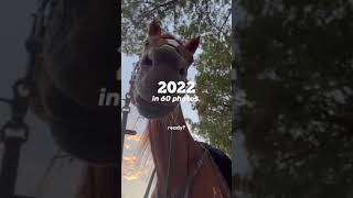 2022 in 60 photos #2022status #horse #equestrian #thebestyou #year #endoflove #shorts #fyp #blowup