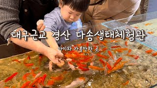 대구근교 가볼만한곳 | 아이와함께 | 경산 다솜생태체험관 다녀왔어요 😆| Ecological Experience Center