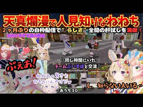 叫ぶ！跳ねる！下ネタで笑う！今日も小学生男子なねねちとおうち３D ぽるりりはじで肝試し前の夏祭りを満喫【桃鈴ねね／尾丸ポルカ／轟はじめ／一条莉々華／ホロライブ／マイクラ肝試し2024／ぼくの夏やすみ】