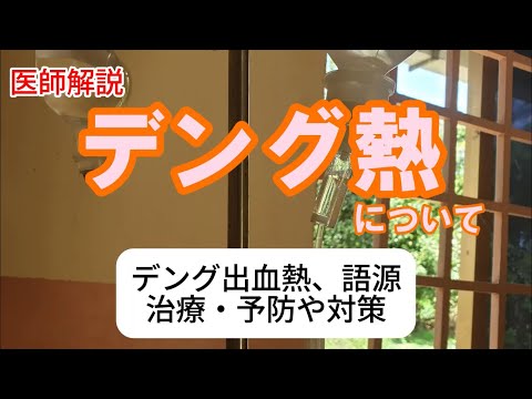 日本でも流行するかも？デング熱について、治療法や対策を医師が解説します