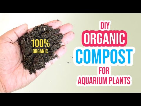 How to Make Organic Compost Fertilizer for DIY Aquarium Soil!