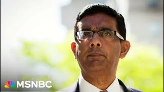 Dinesh D'Souza admits some claims of voter fraud were false in '2000 Mules'