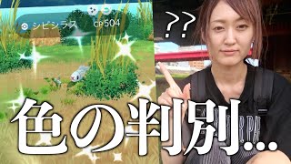 色違いが過去1分からん...東京の動画配信について。【ポケモンGO】