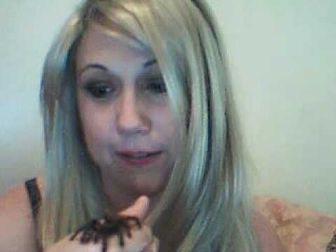 Bluma and Pedro the tarantula