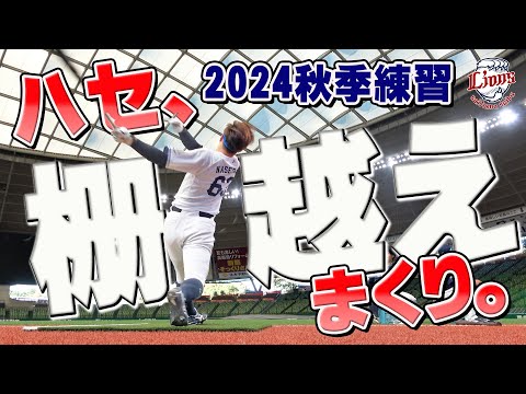 柵越え連発！見てて気持ちいい長谷川選手の打球に注目！【所沢秋季練習10/20ダイジェスト】