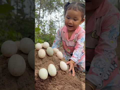 Survival Skills: single mom with a lot of eggs in forest  #survival #camping #outdoors #bushcraft