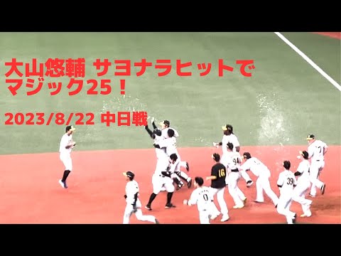 大山悠輔サヨナラヒットでマジック25！ #hanshin #tigers #阪神タイガース