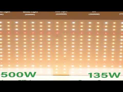 Samsung LM281B Quantum LED Grow Light Veg and Bloom Phytolamp,EU Plug, for Plant