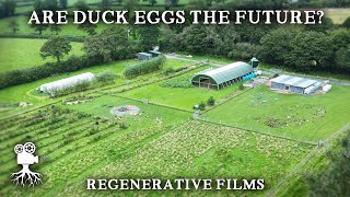 Regenerative Farm Combines Ducks and Blueberries | Parc Carreg Duck Eggs, Wales