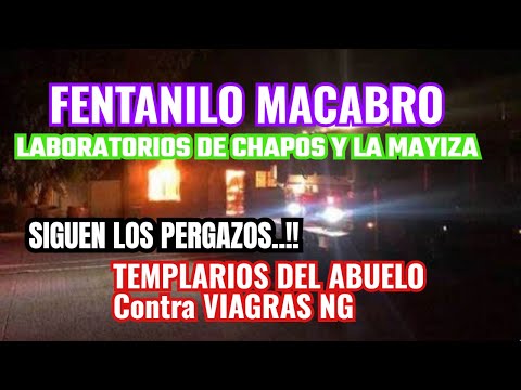 THE MACABRE FENTA, CHAPOS AND MAYIZA AND THE TEMPLAR WAR TEPALCATEPEC AND VIAGRAS NEW GENERATION