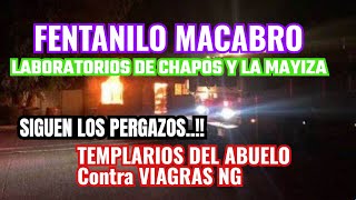 THE MACABRE FENTA, CHAPOS AND MAYIZA AND THE TEMPLAR WAR TEPALCATEPEC AND VIAGRAS NEW GENERATION