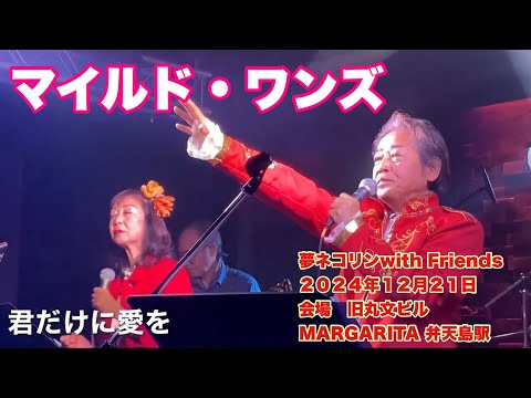 君だけに愛を　マイルド・ワンズ   夢ネコリンwith Friends   ２０２４年１２月２１日　会場　旧丸文ビル　MARGARITA 弁天島駅