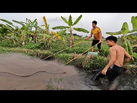 Catch Fish 2 Young Men mlMeet Fierce Dragon Snakes