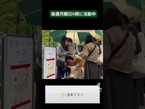 【部活・サークル紹介】国際政治経済学部公認学生団体SANDS