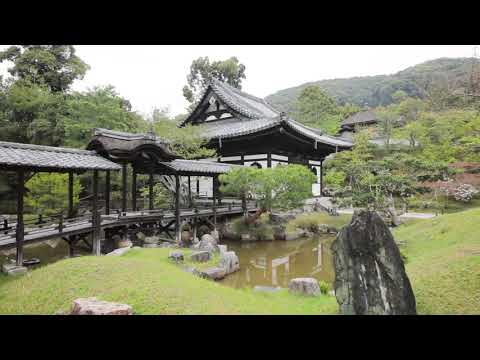 【WEB動画】2018年 春 オリジナル映像「高台寺」篇 そうだ 京都、行こう。