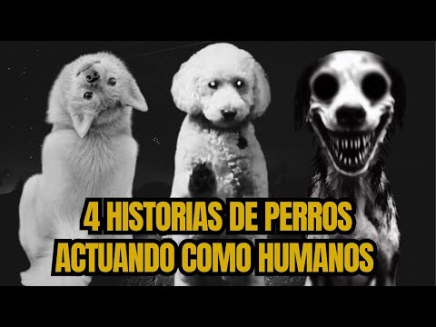 Historias de perros actuando de forma siniestra, actuando como humanos.