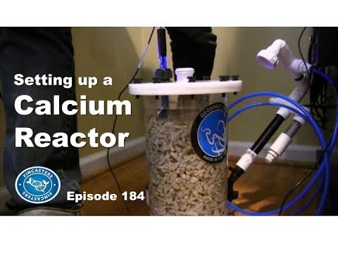 How to set up a Calcium Reactor