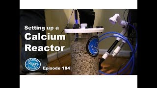 How to set up a Calcium Reactor