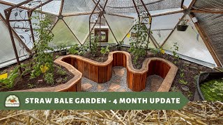 Straw Bale Gardening: 4-Month Update