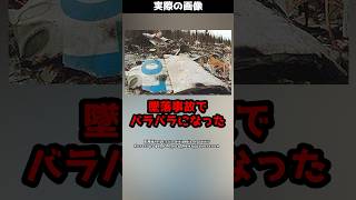 機体はバラバラ、乗員乗客全員が亡くなる墜落事故→原因は〇〇の操縦だった！？#shorts