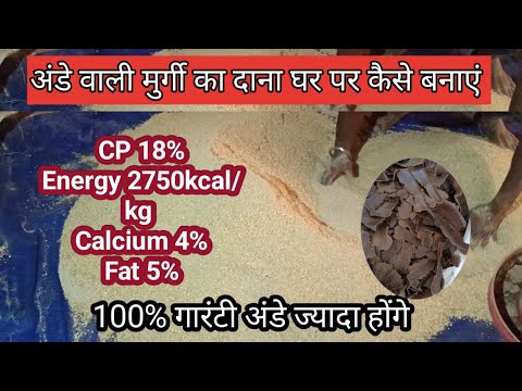 How to Make Desi Murgi Feed at Home || How to Make Layer Feed At Home #poultryfarming