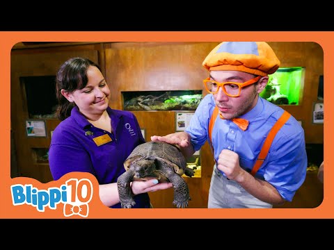 Blippi's Best Animals: Top 10 Moments | Blippi's Educational Videos | Kids Songs & Nursery Rhymes