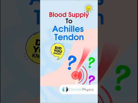 Achilles Tendon Blood Supply #anatomy #physiotherapy #physicaltherapy #achillestendon