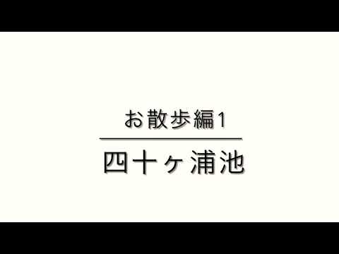 福岡市東区 お散歩編その1 〜四十ヶ浦池〜