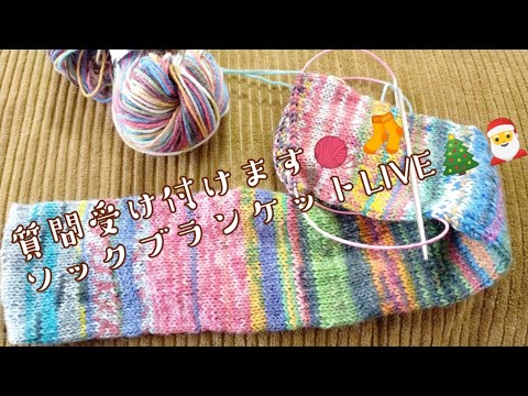 【編み物ライブ🎤】質問受け付けます🧦🧶ソックブランケットLIVE🎄🎅