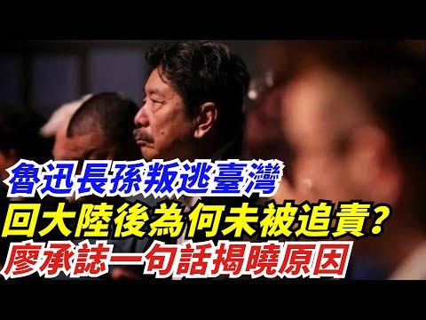 魯迅長孫叛逃臺灣，回大陸後為何未被追責？廖承誌一句話揭曉原因【創史館】#歷史#歷史故事#歷史人物#奇聞