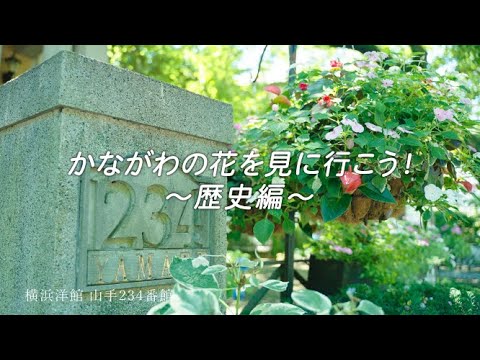 かながわの花を見に行こう！～歴史編～