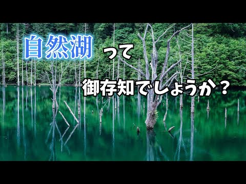 【ネイチャーフォト】水没林の美　自然湖　｜長野県｜王滝村｜