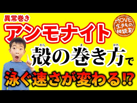 【#アンモナイト のふしぎ】古生物学者・相場大佑先生に小学生が質問！【MOVE生きもの相談室】