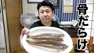 骨だらけの魚『エソ』の簡単な処理の仕方を教えます！！