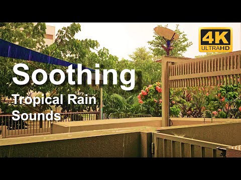 Reduce stress and anxiety | Soothing tropical rain sounds