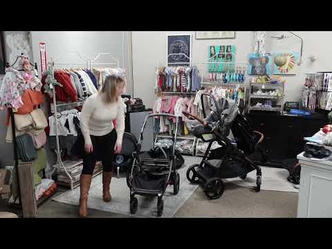 Agio Baby Z4 Stroller versus Venice Child Ventura Stroller