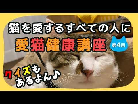 【猫しもべ検定(ΦωΦ)】「猫を愛する全ての人」に！愛猫健康講座のご紹介(第４回)