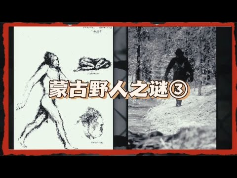 蒙古野人之谜第3集