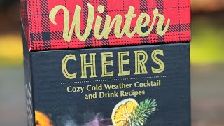 Winter Cheers Cocktail Deck Boxed Cards Christmas Holiday Stocking Stuffers #cocktailrecipes