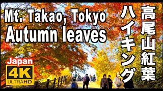 🇯🇵 4K 2021紅葉の秋の高尾山 TOKYO Autumn leaves of Mt. Takao 紅葉ハイキング 高尾山観光 旅行 Michelin Guides 東京観光 日本の紅葉 名所