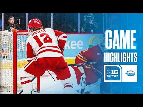 Wisconsin vs. Ferris State | HIGHLIGHTS | Big Ten Hockey | 12/28/2024