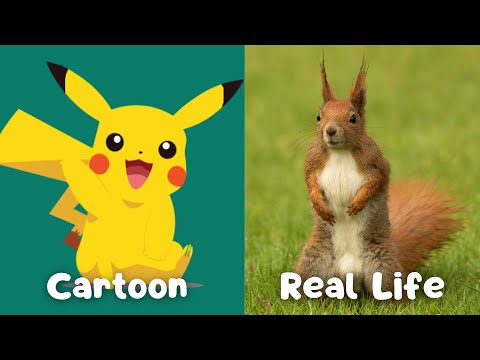 CARTOON CHARACTERS IN REAL LIFE | Explore the real animals behind famous cartoon characters