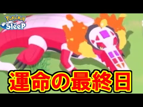 【マスター２０】ハロウィン、最後の闘い。【ポケモンスリープ】