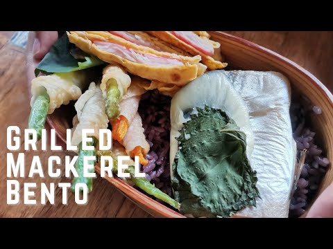 I can make my bento by myself! | Grilled salted cheesy mackerel bento | 焼きサバ弁当の作り方