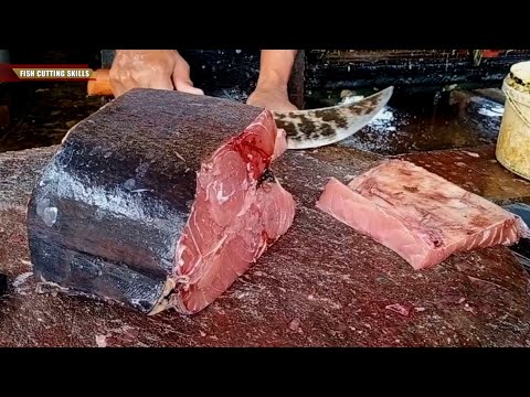 Amazing l Best Fish Slicer You Will Ever Seen (Sea)