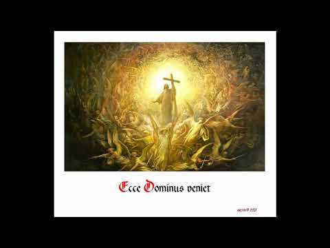 Orgelvorspiel und Antiphon "Ecce Dominus veniet" /Seht, der Herr wird kommen)