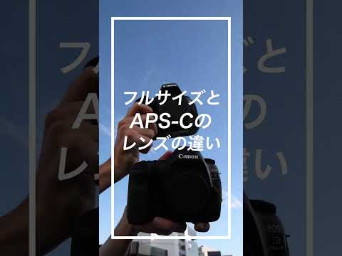 フルサイズとAPS-Cレンズの見分け方（一眼レフ）