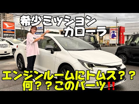 希少車のカローラミッション6MTカスタムしよーかなー