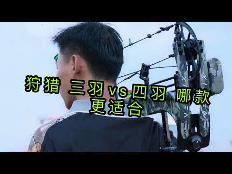 复合弓狩猎三羽和四羽的不同之处你更喜欢哪款 Compound bow and arrow evaluation MathewsBear