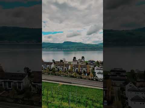 Switzerland | Zurich Lake